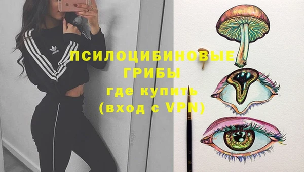 спиды Абинск
