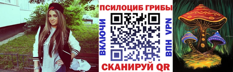 KRAKEN tor  Харабали  Галлюциногенные грибы Psilocybe 